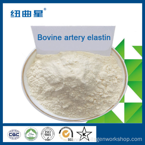 Cow and horse artery elastin protein peptide